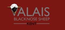 Valais Blacknose Sheep Kent