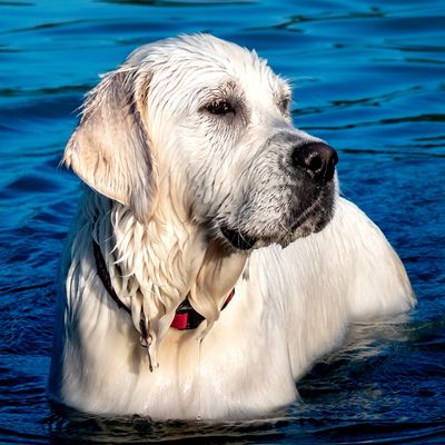 yuliya loves to swim