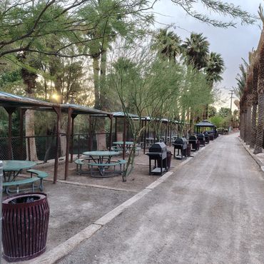 Picnic area with shaded tables and grills along a tree-lined path.