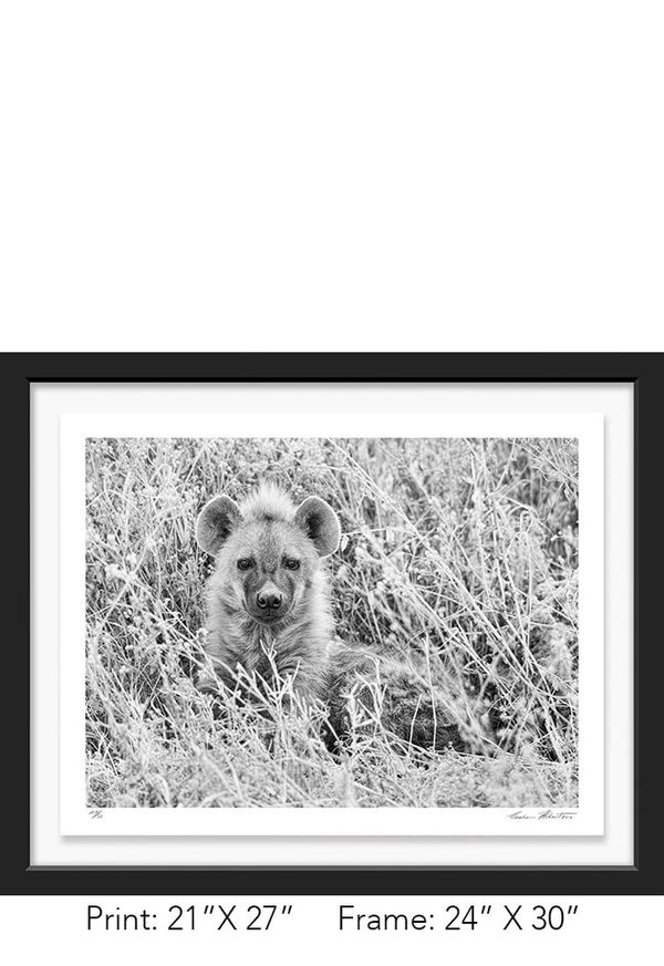 Tanzania; Ngorongoro Crater; Black and white; Hyena; Infrared; Graham Hobart; Cub, Cute, photography