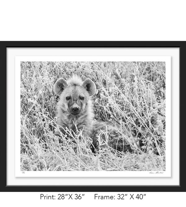 Tanzania; Ngorongoro Crater; Black and white; Hyena; Infrared; Graham Hobart; Cub, Cute, photography