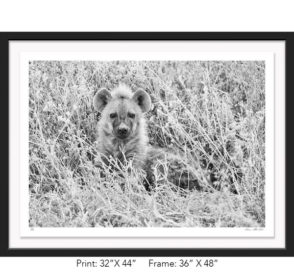 Tanzania; Ngorongoro Crater; Black and white; Hyena; Infrared; Graham Hobart; Cub, Cute, photography