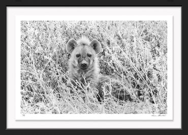 Hyena; cub; Africa; wildlife; Tanzania; Ngorongoro Crater; Infrared Photography; black and white