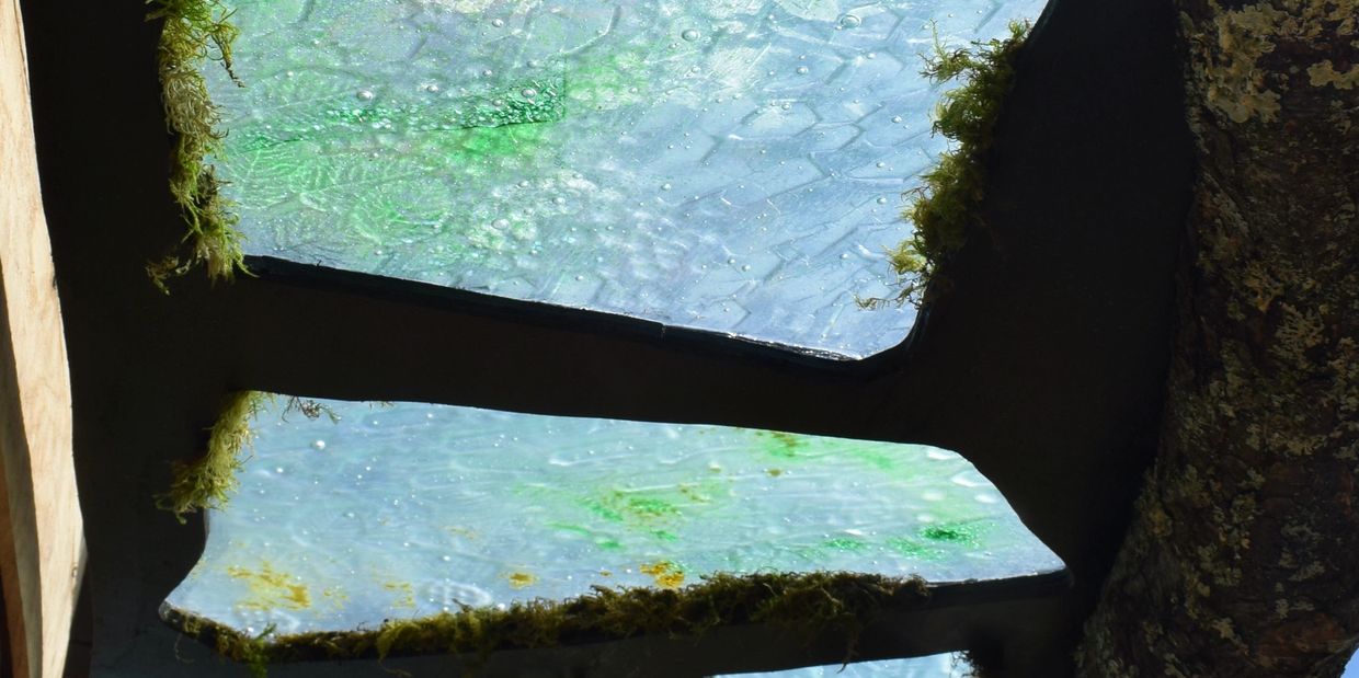 Glass Bee wing textured panel, in a gazebo roof at RHS Malvern show garden by Humble Bee Gardeners