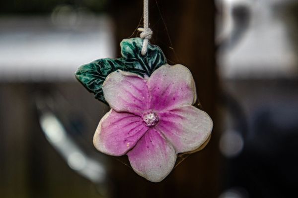 Stunning Object shot by Roman Lucarini