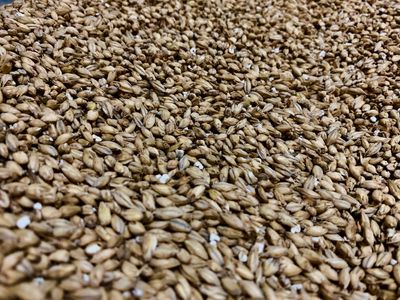 2-Row malted barley ready to be added to a freshly constructed beer kit.