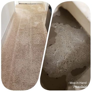 A carpet that we cleaned and everything that we extracted from it.