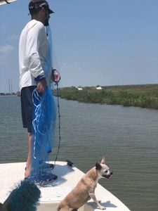bait caster, dog, fishing, fisherman, boat, saltwater, redfish,