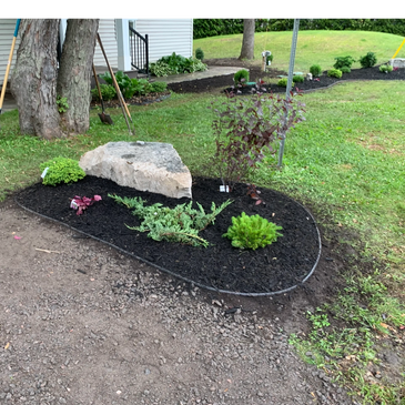 Newly planted garden bed with black mulch and decorative stone near house.