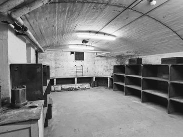 Empty basement room with shelves and concrete walls.