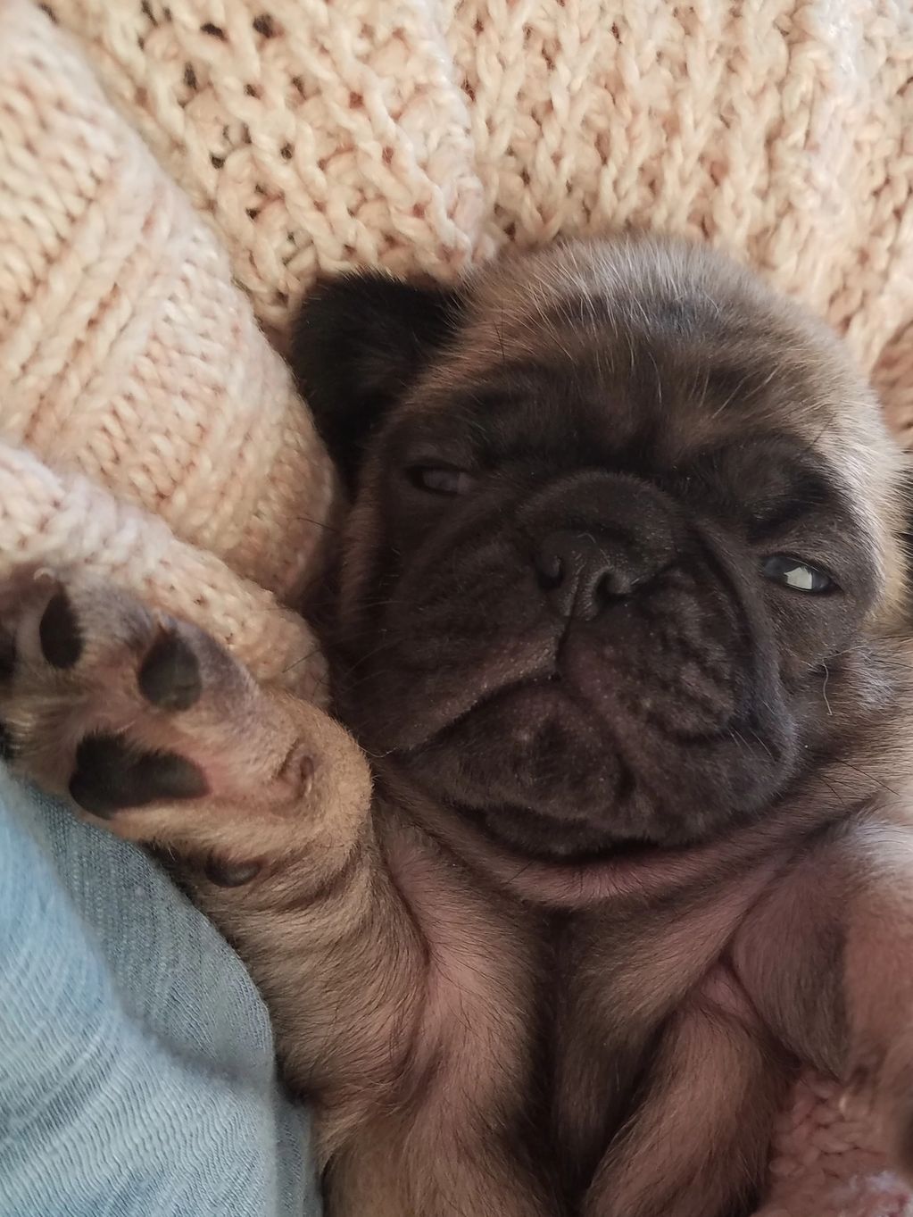 Sweet dreams sweet baby