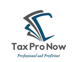 Tax Pro Now