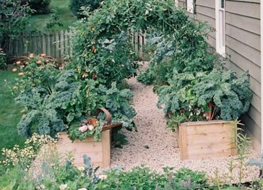 Lush garden with raised wooden planters and a leafy archway.