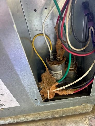 Capacitor compartment with mud dauber.