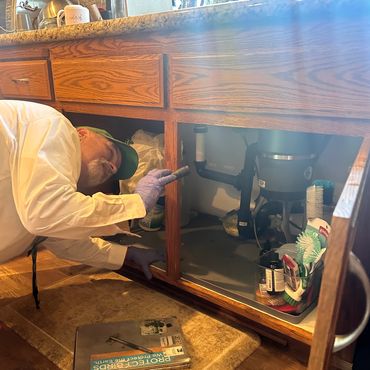 A man in gloves inspecting plumbing under a kitchen sink.