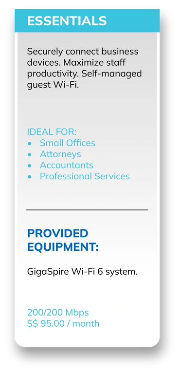 Essentials Small offices, attorneys, accountants, professional services 200 mbps $95.00 per month