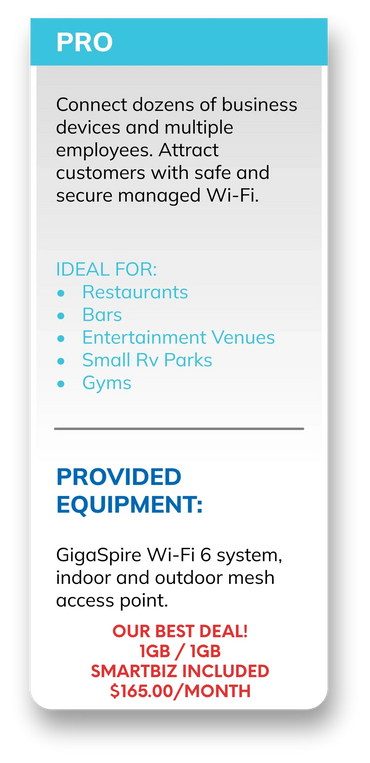 Pro Package for Resturants Bars Entertainment venues Small RV parks Gyms. Our Best Deal 1Gb $165.00