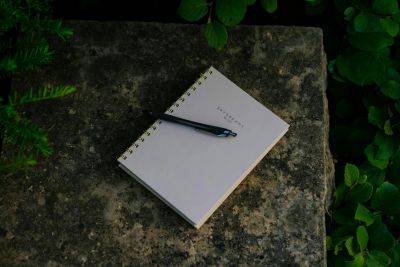 Open journal: NY integrative trauma therapy and digital burnout treatment.