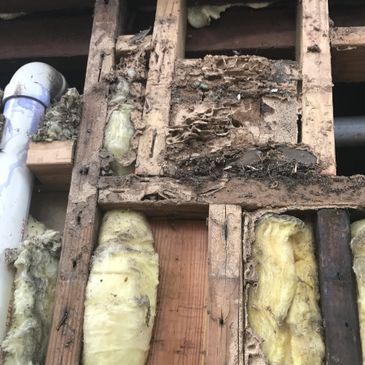 termite control houston termite warranty inspection