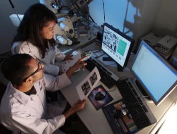 Two researchers review images on computer screens while discussing printed materials.