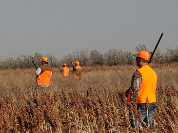 South Dakota Pheasant Hunters
