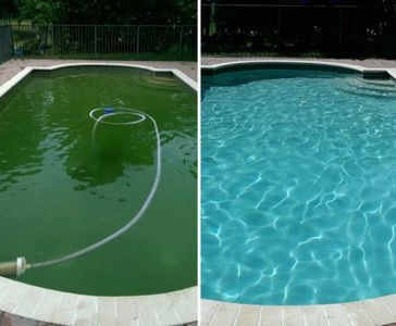 Swamp Pool, Next to Beautiful Pool, algae cleanup, green to blue pool, green to clean pool, no algae