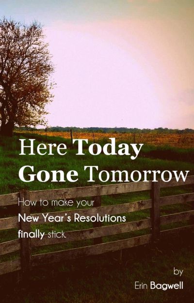 Book cover titled 'Here Today Gone Tomorrow' by Erin Bagwell about New Year's resolutions.