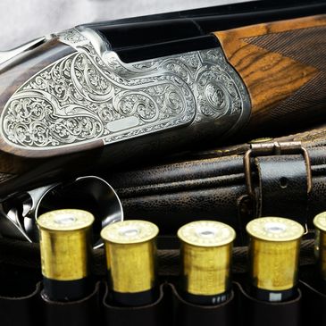 Kent Clay Pigeon Shooting
Sussex Clay Pigeon Shooting
Shotgun safety courses
Shotgun safety training