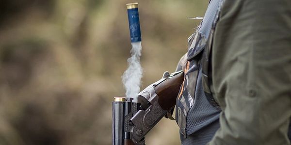 Kent Clay Pigeon Shooting
Sussex Clay Pigeon Shooting
Shotgun safety courses
Shotgun safety training