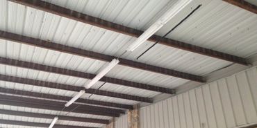 Tampa Bird Netting