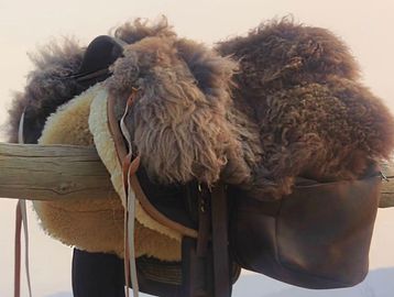 Close-up of a sheepskin horse saddle cover.