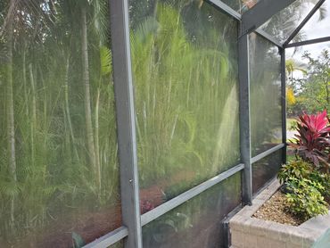 Before picture of algae on the lanai screens.