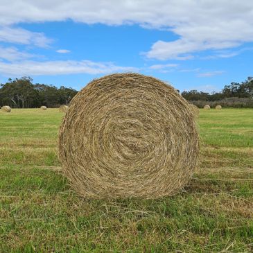 Large round hay bale in a green field under a partly cloudy blue sky.