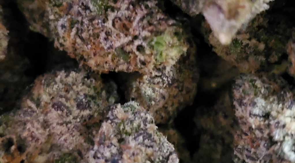 Flower from our collection of purple Punch strain.