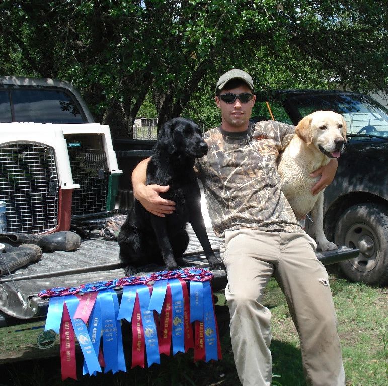 Finished Labrador Retrievers with pass ribbons at UKC HRC(Hunting Retriever Club) Hunt Test