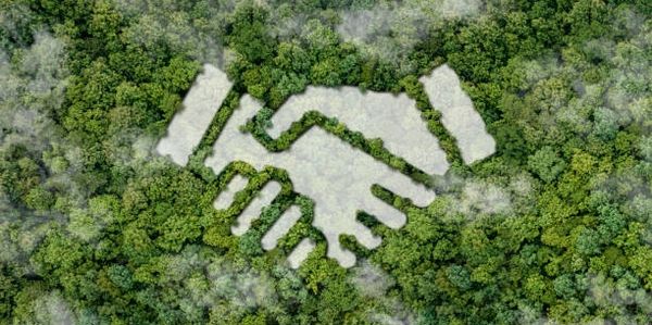 Handshake shape carved out in a dense forest with light fog above.