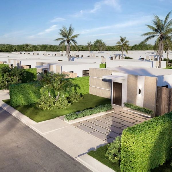 Modern single-story homes with palm trees and manicured green hedges.