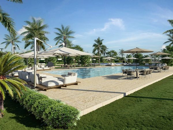 Luxurious outdoor pool area with palm trees and lounge seating.