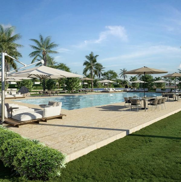 Luxurious outdoor pool area with palm trees and lounge seating.
