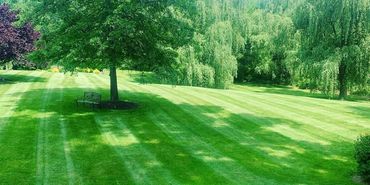 Stripes lawn care 