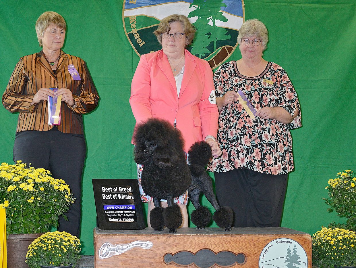 Three women pose with a black poodle at a dog show award ceremony.