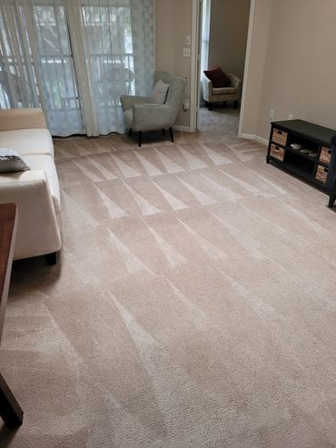 carpet cleaning