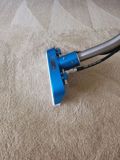 Carpet Cleaning Wand Drying a rug