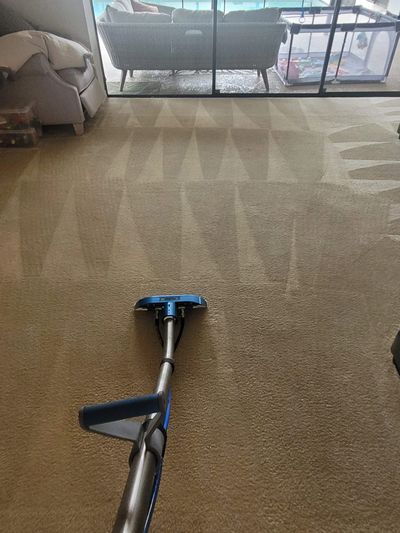 This is a picture of our cleaning process
