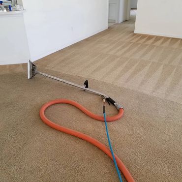 carpet cleaning with wand