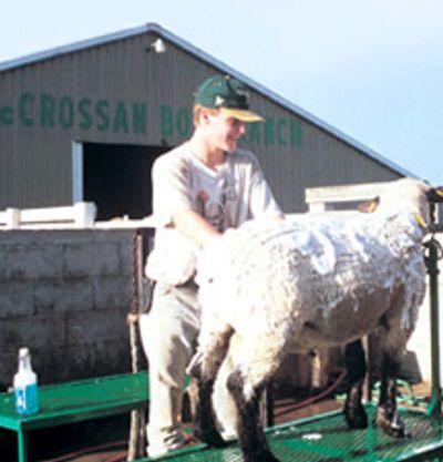 Sioux Falls Nonprofit McCrossan Boys Ranch Barn Rebuilt