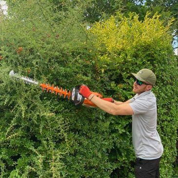 Testimonial for hedge cutting garden services in Cornwall