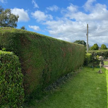 Testimonial for hedge cutting garden services in Cornwall