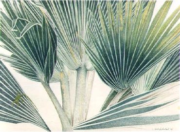 Gecko in Tropical Palms - 30 x 40 inches (76 x 101 cm)