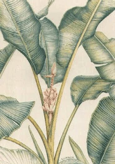 Banana Plant - 30 x 40 inches (76 x 101 cm)